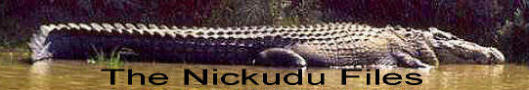 The Nickudu Files on Ezine.NitroExpress.com